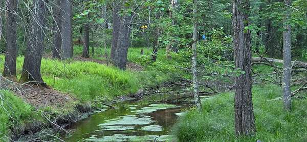2 Acres of Residential Land for Sale in Bethel, New York