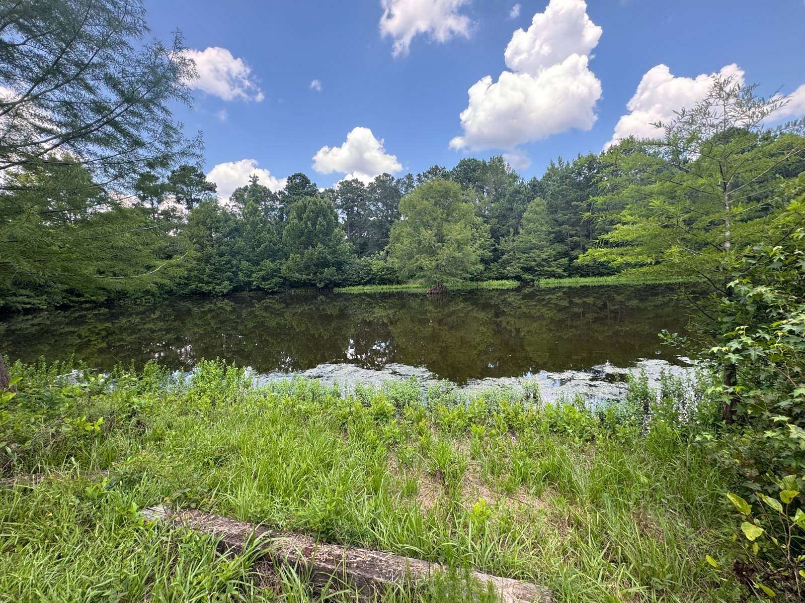 24 Acres of Recreational Land for Sale in Magnolia, Arkansas