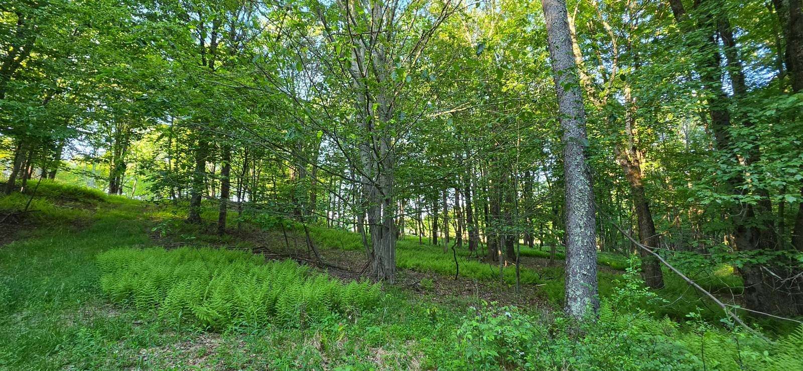 2.64 Acres of Residential Land for Sale in Swan Lake, New York