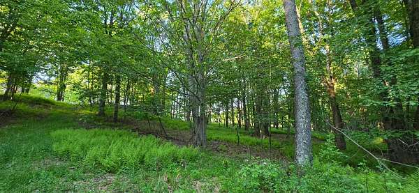 2.64 Acres of Residential Land for Sale in Swan Lake, New York