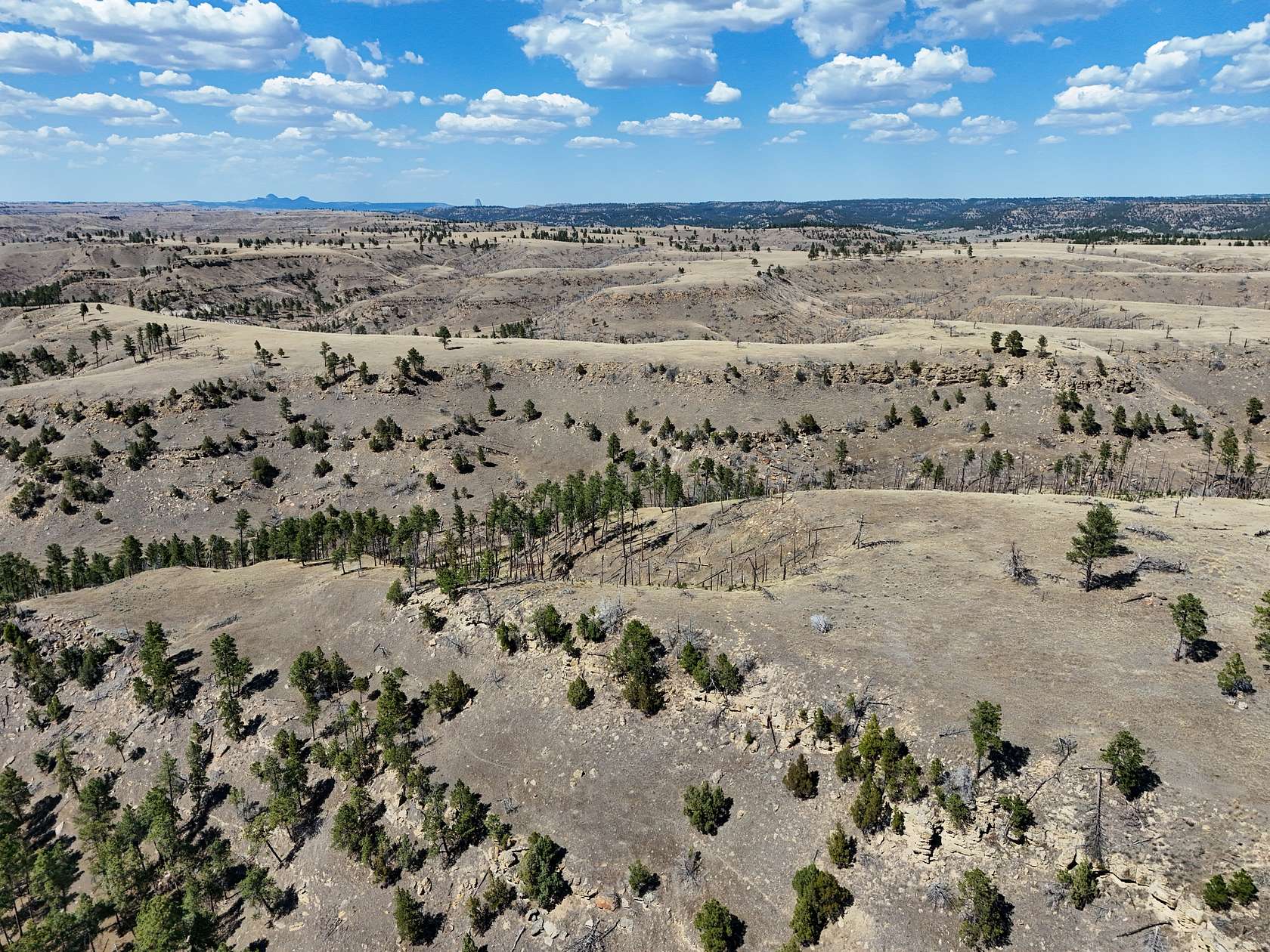 494 Acres of Land for Sale in Pine Haven, Wyoming