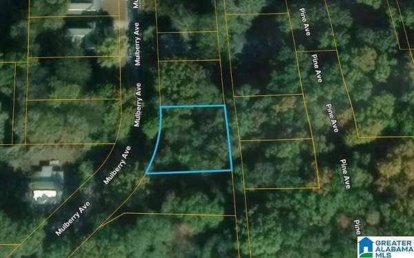 0.24 Acres of Residential Land for Sale in Anniston, Alabama