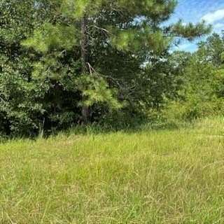 0.5 Acres of Residential Land for Sale in Mobile, Alabama
