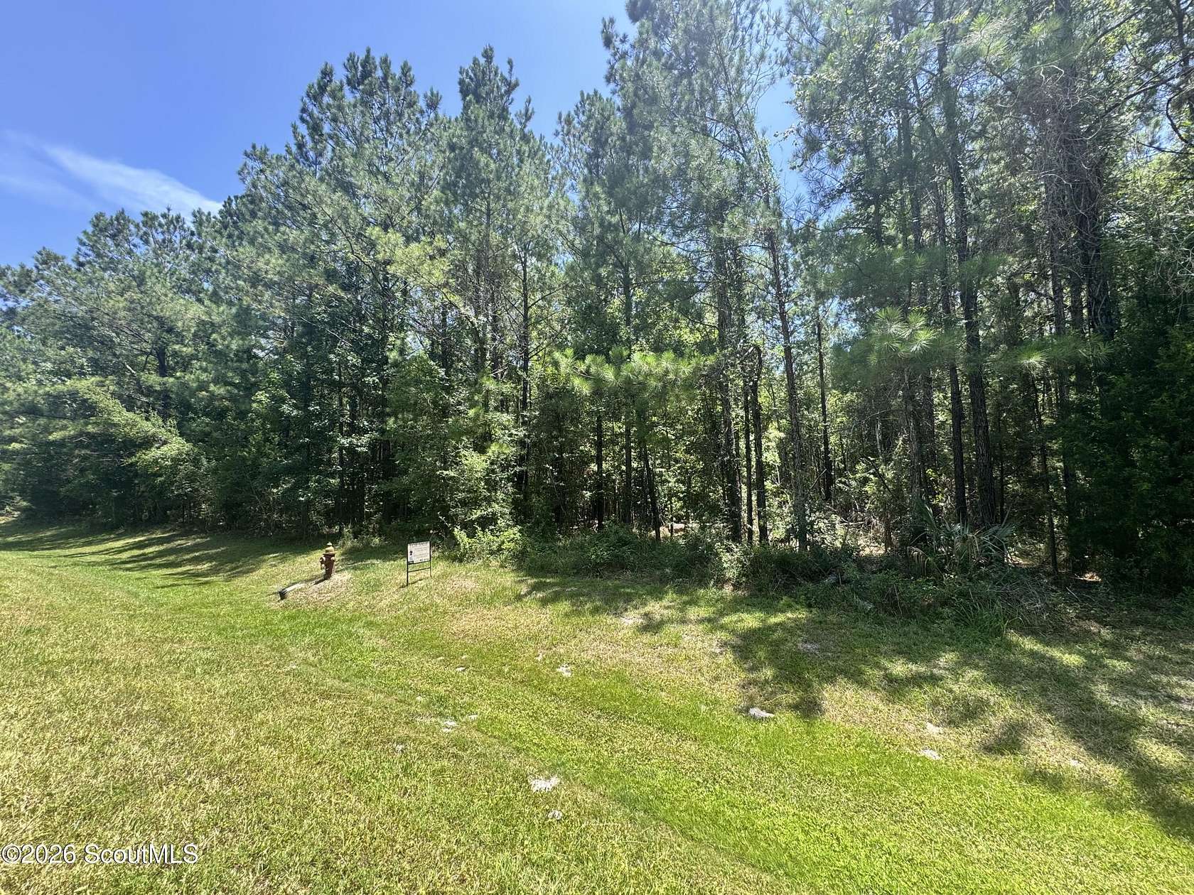 4.6 Acres of Residential Land for Sale in Waverly, Georgia