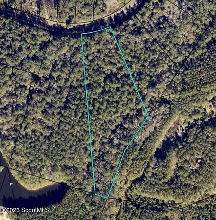 4.6 Acres of Residential Land for Sale in Waverly, Georgia