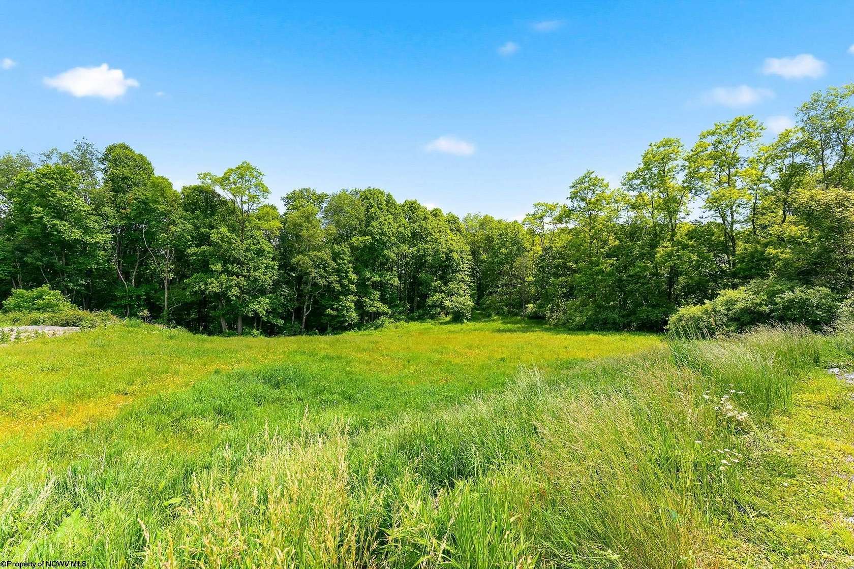 1 Acre of Residential Land for Sale in Bruceton Mills, West Virginia