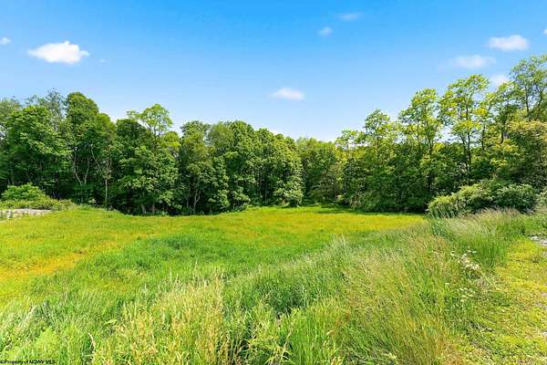 1 Acre of Residential Land for Sale in Bruceton Mills, West Virginia