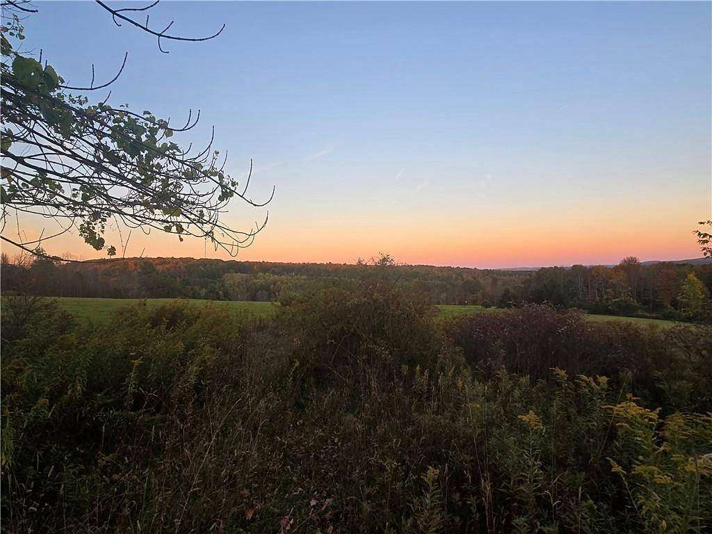 11.3 Acres of Recreational & Residential Land for Sale in Unadilla, New York