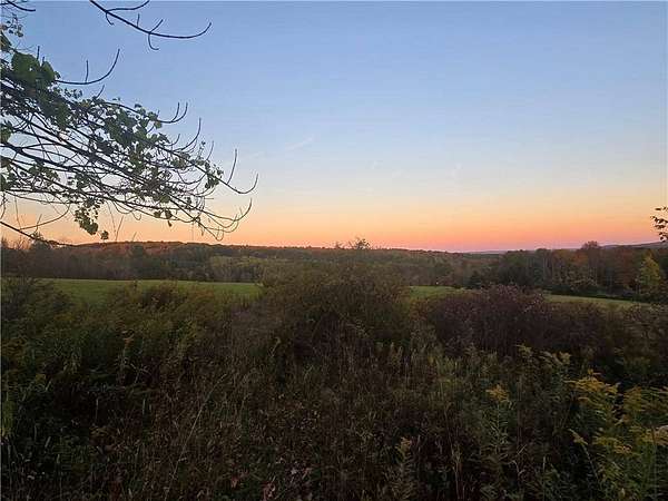 11.3 Acres of Recreational & Residential Land for Sale in Unadilla, New York