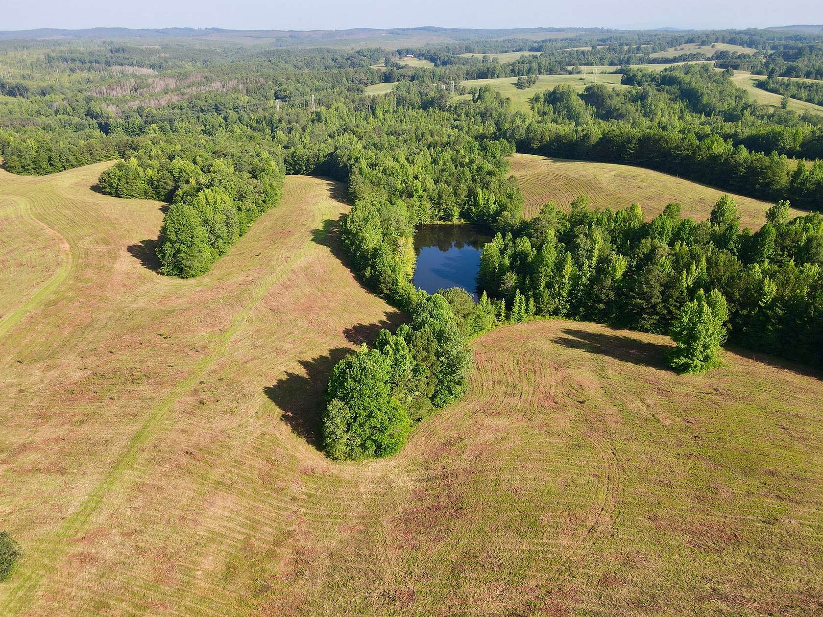 250 Acres of Land for Sale in Wadley, Alabama