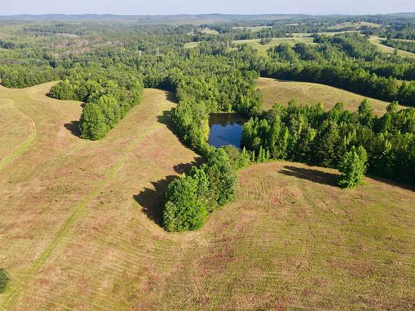 250 Acres of Land for Sale in Wadley, Alabama