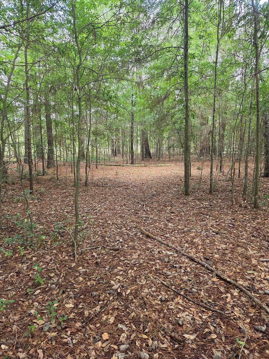 0.88 Acres of Residential Land for Sale in Hawkinsville, Georgia