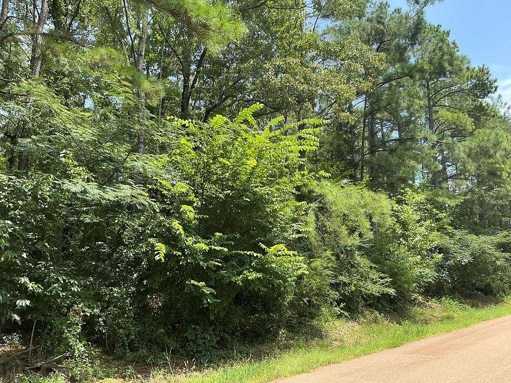 70 Acres of Recreational & Residential Land for Sale in Oxford, Mississippi
