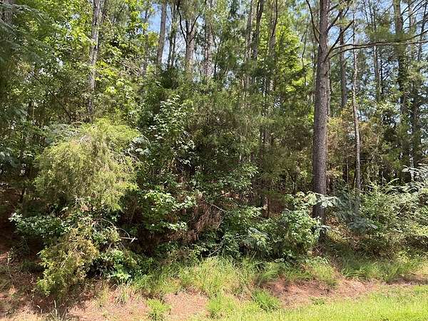 70 Acres of Recreational & Residential Land for Sale in Oxford, Mississippi