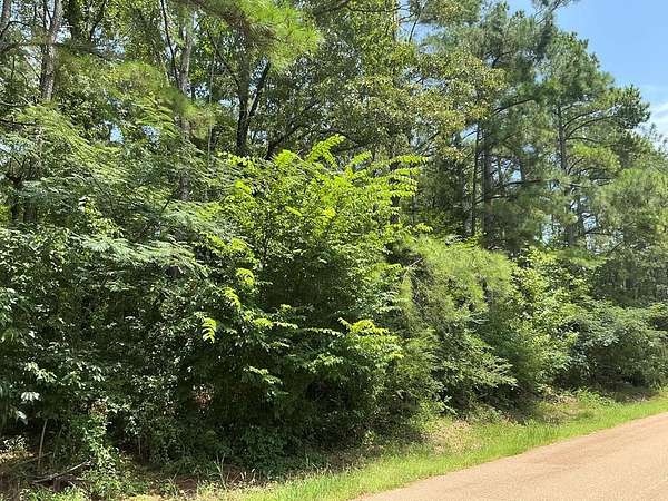 70 Acres of Recreational & Residential Land for Sale in Oxford, Mississippi