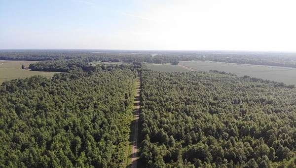117 Acres of Recreational Land for Sale in Clayton, Louisiana