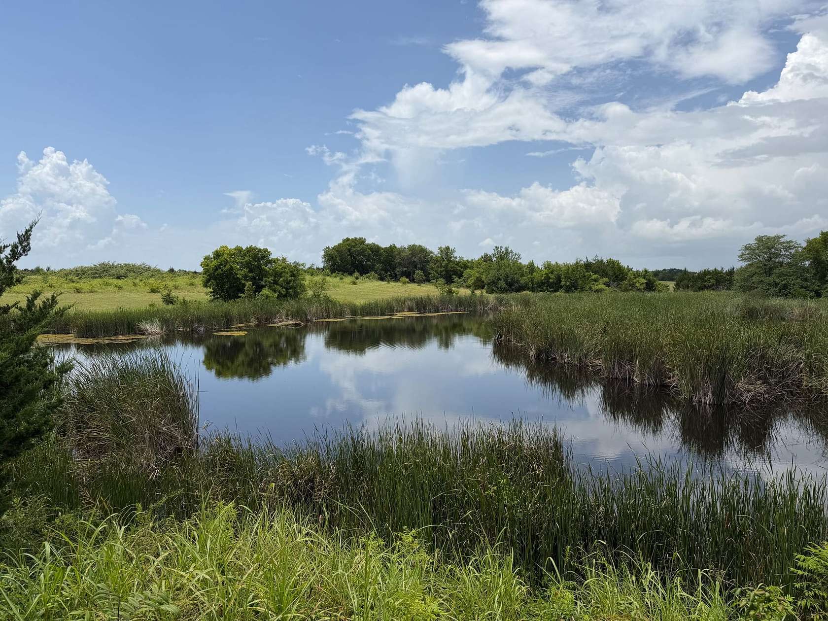 43.4 Acres of Land for Sale in Roxton, Texas