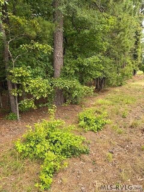 3 Acres of Land for Sale in Valentines, Virginia