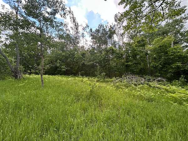 10 Acres of Recreational Land for Sale in Comins, Michigan