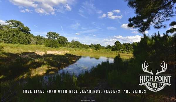 60 Acres of Land for Sale in Lexington, Texas