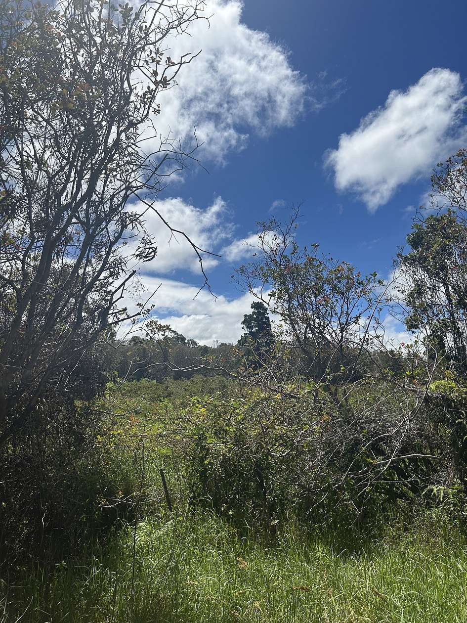 50 Acres of Recreational Land for Sale in Mountain View, Hawaii