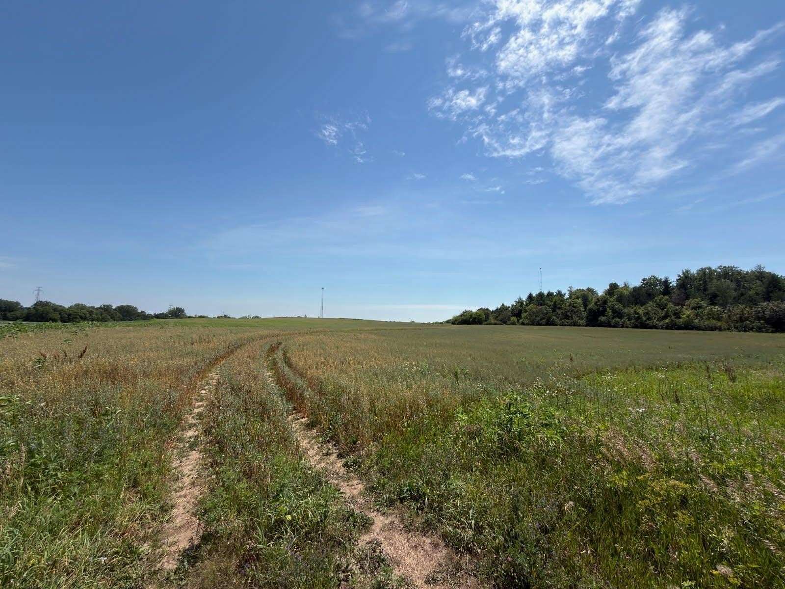 26 Acres of Agricultural & Residential Land for Sale in Dassel, Minnesota