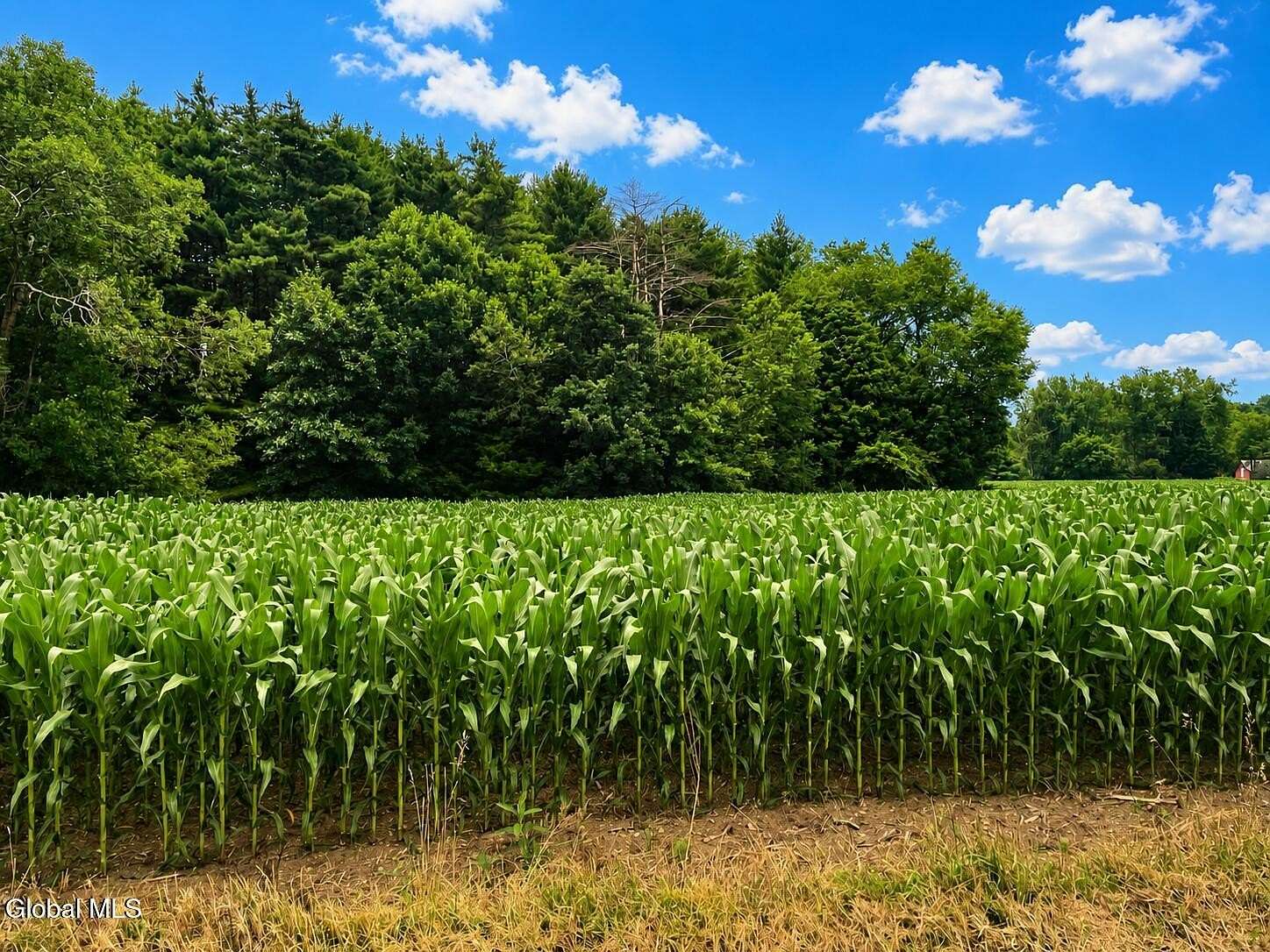 3.1 Acres of Residential Land for Sale in Salem, New York