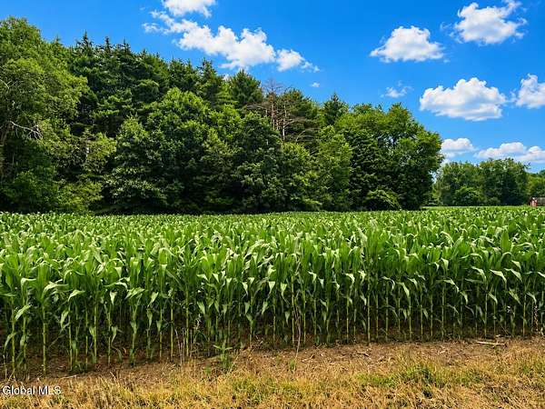 3.1 Acres of Residential Land for Sale in Salem, New York