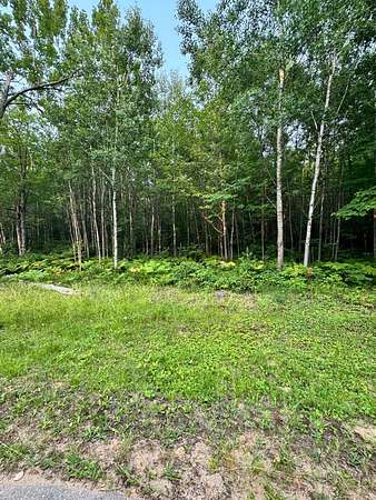 1.76 Acres of Residential Land for Sale in Eagle River, Wisconsin