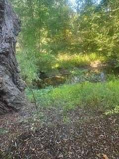 7 Acres of Improved Commercial Land for Sale in Union City, Michigan