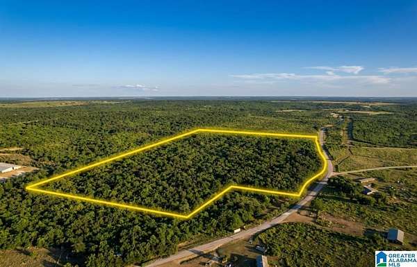 17 Acres of Recreational Land for Sale in Wadley, Alabama