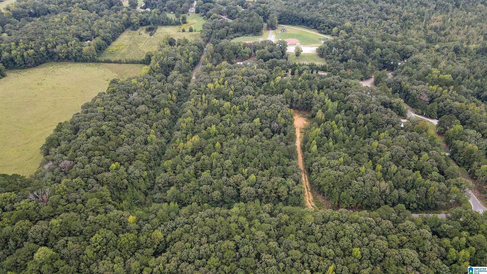 19.2 Acres of Land for Sale in Wilsonville, Alabama