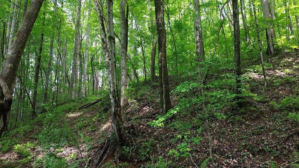 28.8 Acres of Recreational & Residential Land for Sale in Turtletown, Tennessee