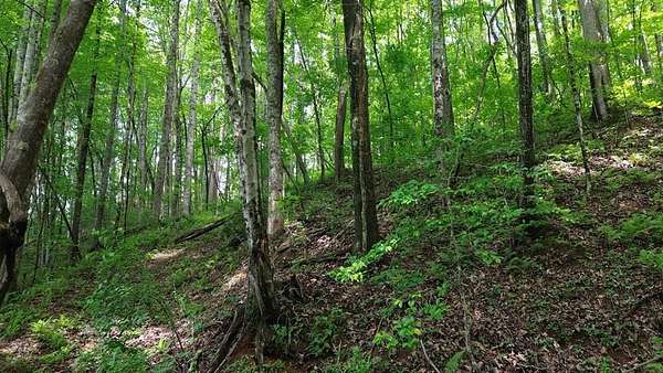 28.8 Acres of Recreational & Residential Land for Sale in Turtletown, Tennessee