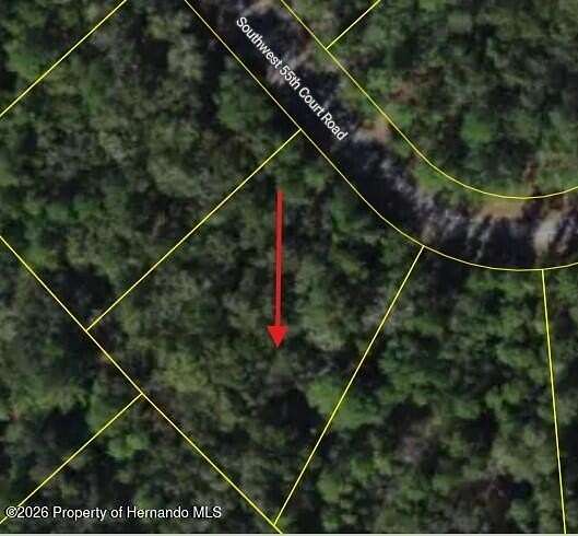 1 Acre of Residential Land for Sale in Ocala, Florida