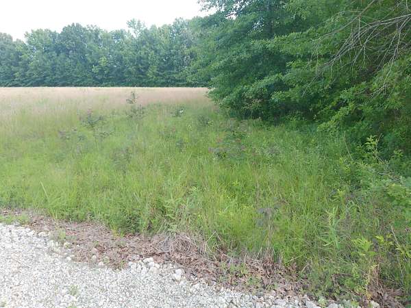 15 Acres of Recreational Land for Sale in Paducah, Kentucky