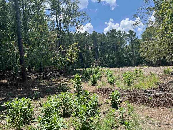 2 Acres of Residential Land for Sale in Glenwood, Arkansas