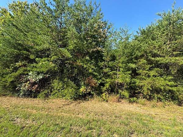 2.7 Acres of Residential Land for Sale in Turtletown, Tennessee