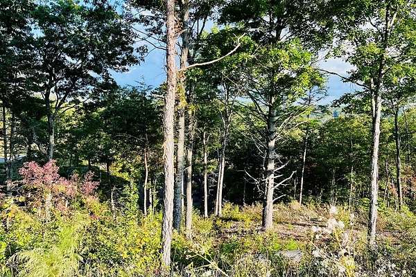0.89 Acres of Residential Land for Sale in Mineral Bluff, Georgia