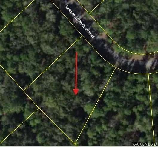 1 Acre of Residential Land for Sale in Ocala, Florida