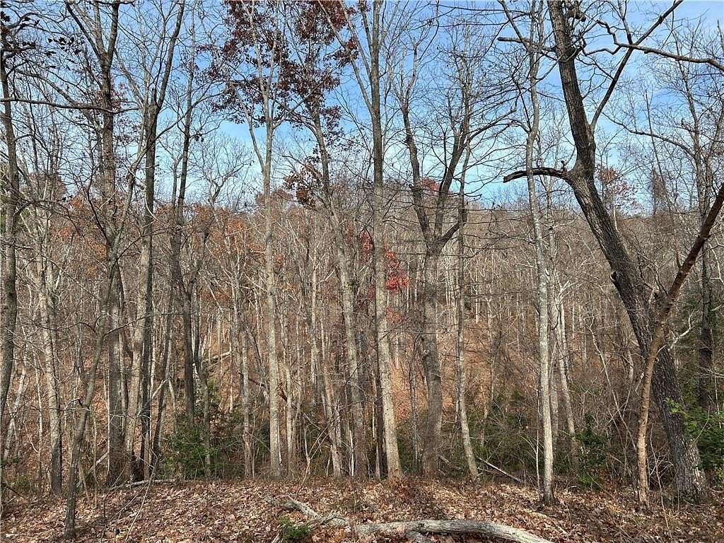 66.5 Acres of Recreational & Residential Land for Sale in Baldwin, Georgia