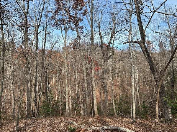 66.5 Acres of Recreational & Residential Land for Sale in Baldwin, Georgia