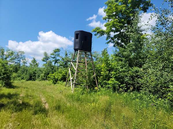 80 Acres of Recreational Land for Sale in Radisson, Wisconsin