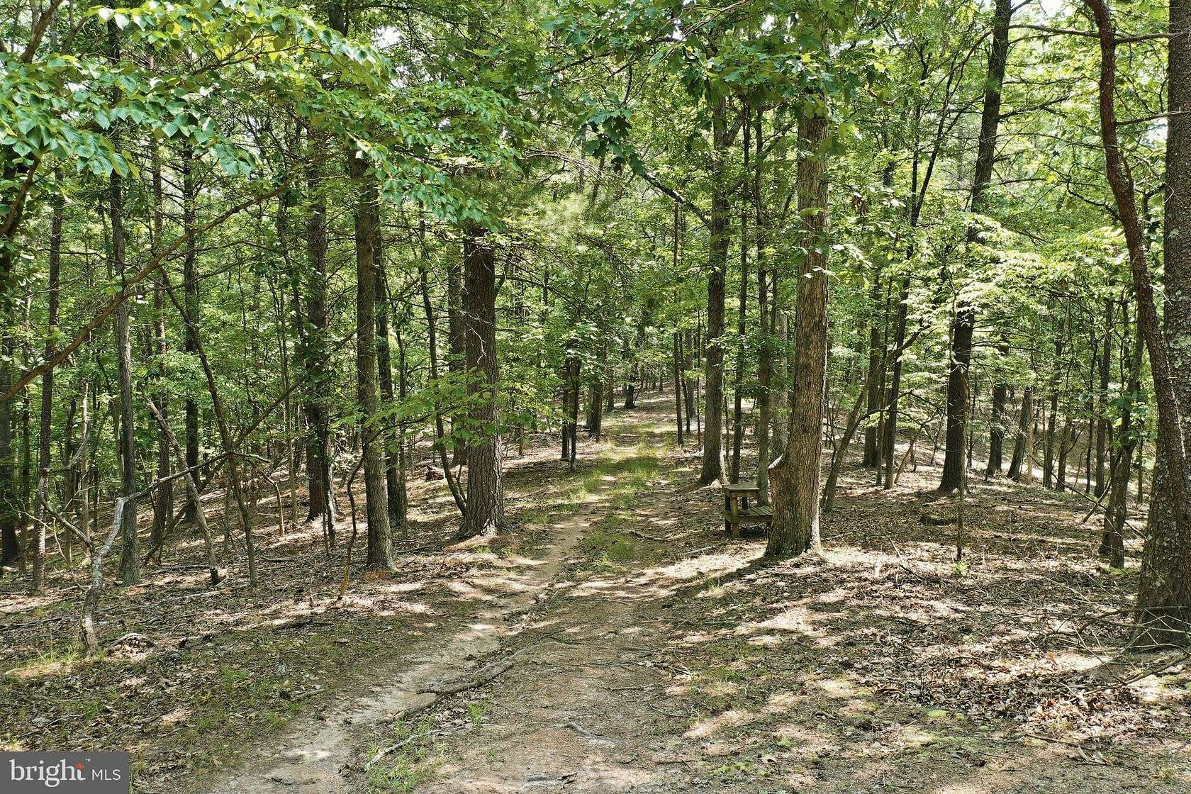 35.2 Acres of Recreational & Residential Land for Sale in Great Cacapon, West Virginia