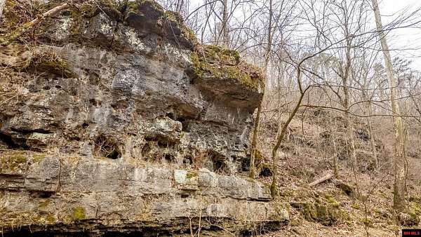 43.6 Acres of Recreational Land for Sale in Alton, Missouri