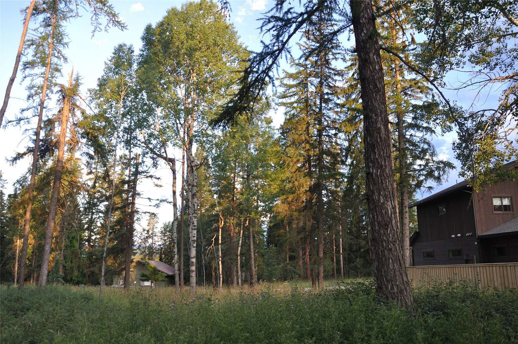 0.34 Acres of Residential Land for Sale in Whitefish, Montana