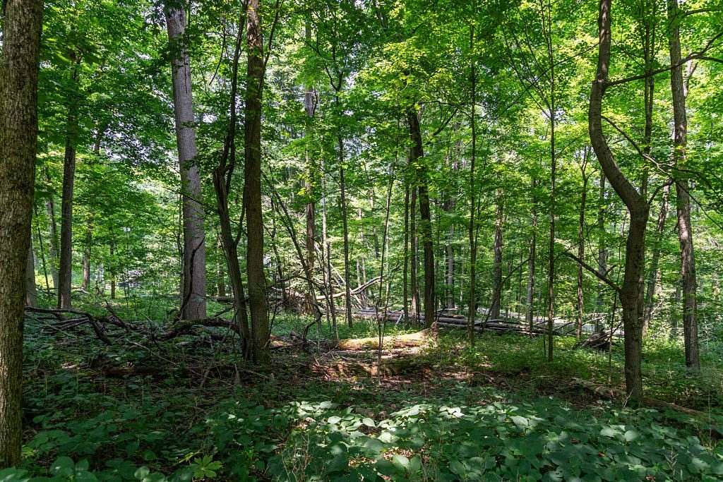 1.6 Acres of Residential Land for Sale in Mansfield, Ohio