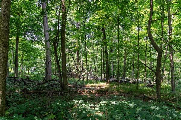 1.6 Acres of Residential Land for Sale in Mansfield, Ohio