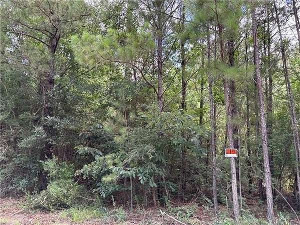1.53 Acres of Residential Land for Sale in Albany, Louisiana