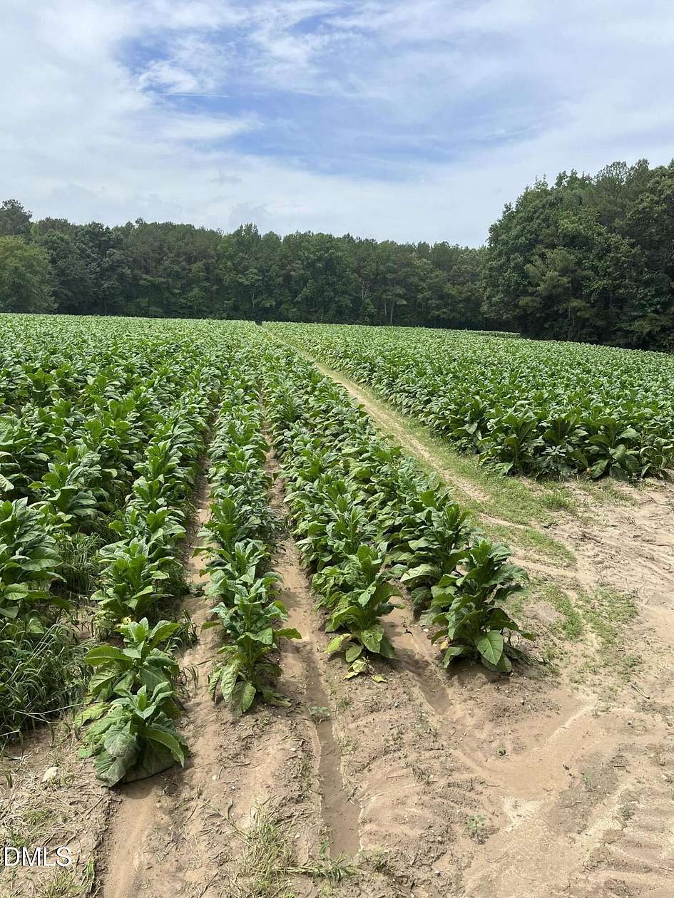 8 Acres of Land for Sale in Middlesex, North Carolina